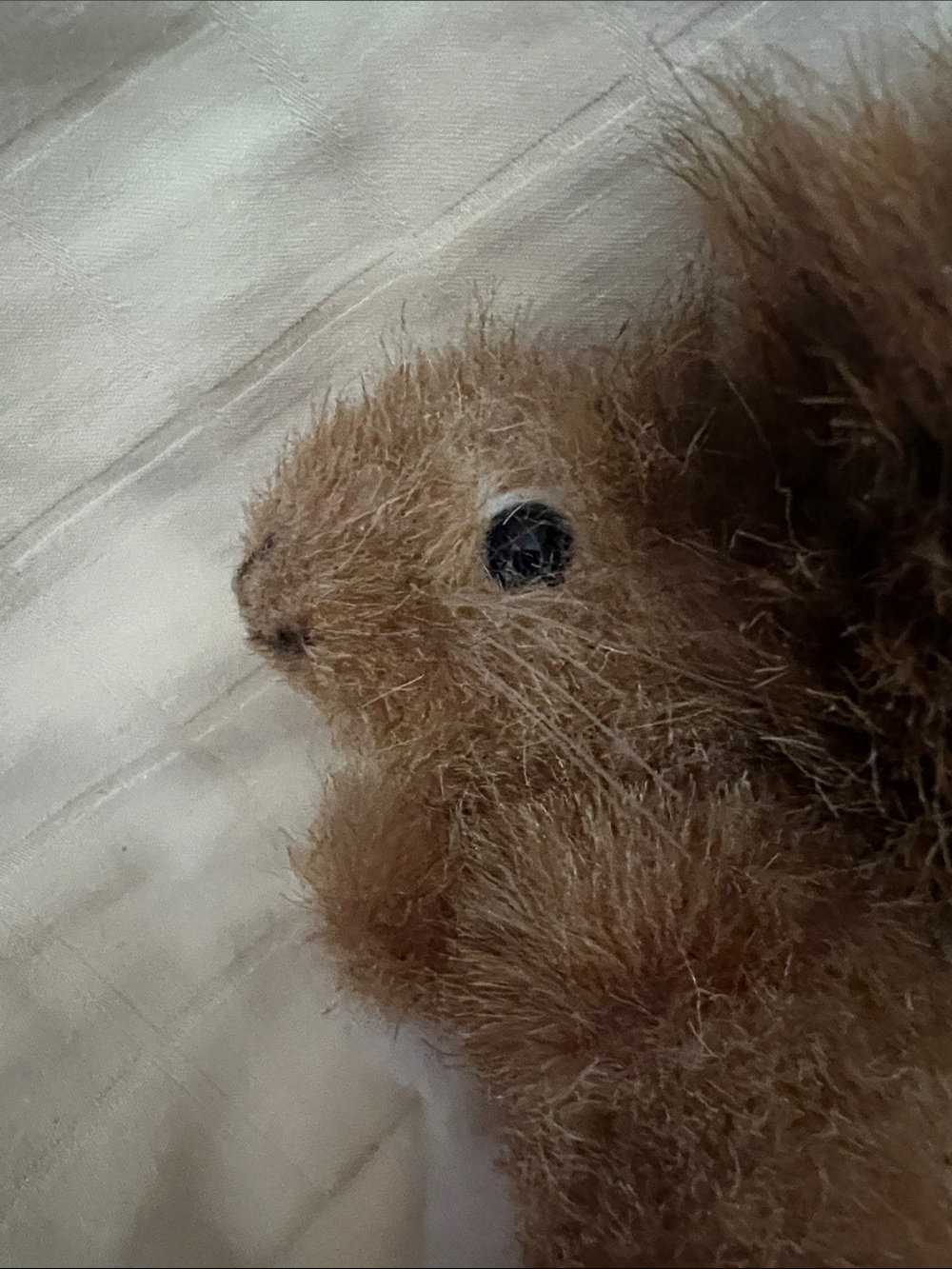 Steiff Squirrel - Picture 8 of 14